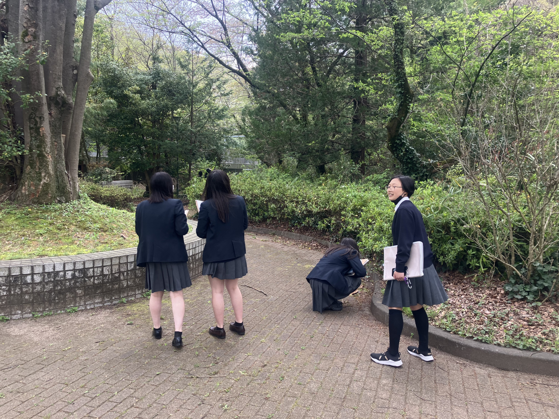 Image - 2026-04-11T082021.767